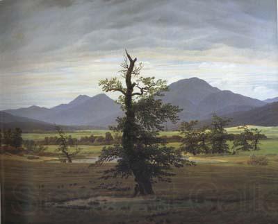 Caspar David Friedrich Landscape with Solitary Tree (mk10) Norge oil painting art